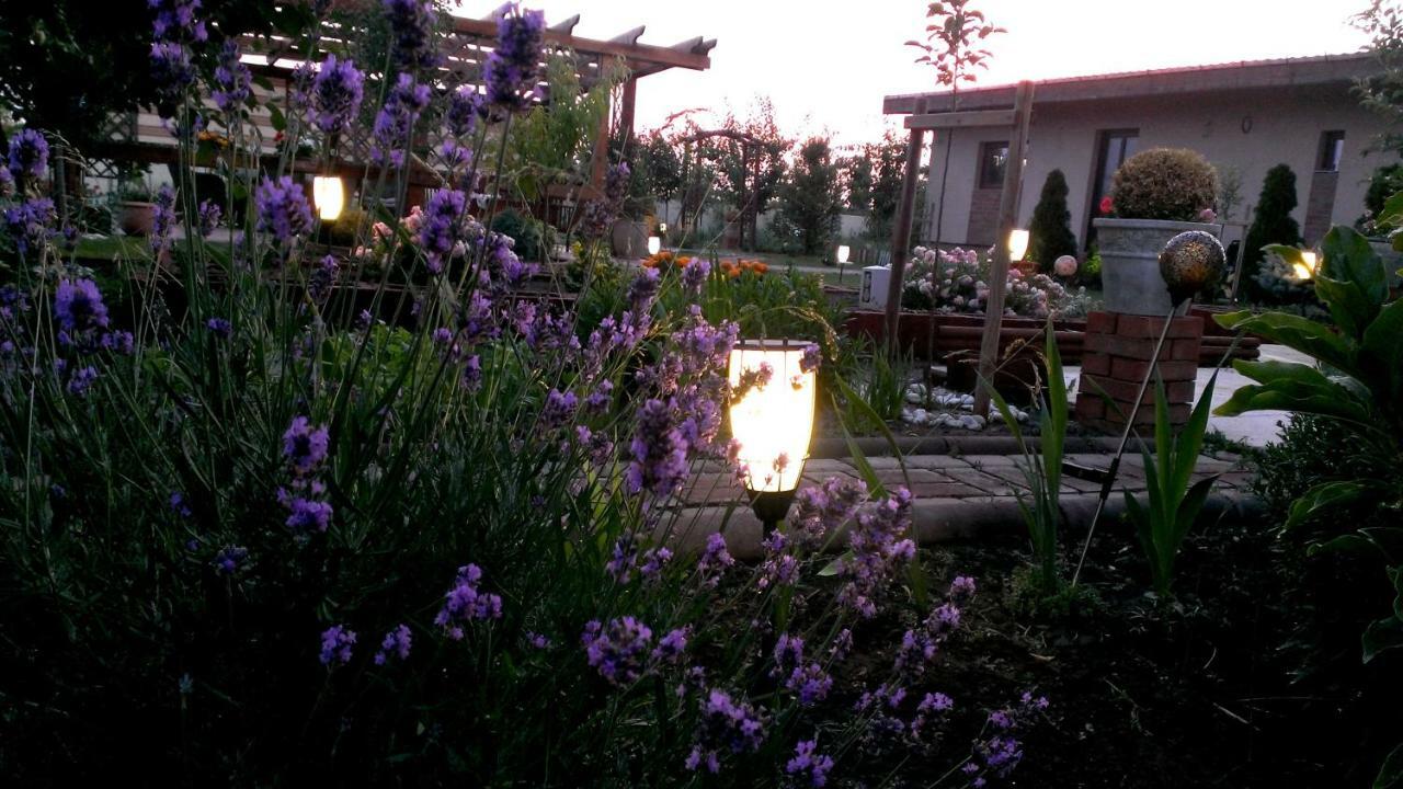 Vila Ramona โอโตเปนี ภายนอก รูปภาพ